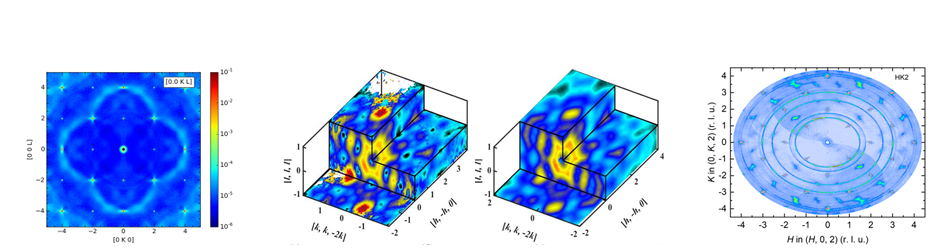 First integrated workshop on neutron diffuse scattering from single crystals (Satellite to Neutron Scattering User Meeting)